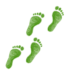 green-1968590_960_720
